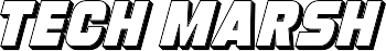 techmarsh